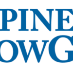 logo-alpinesnowguards